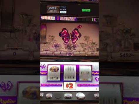 Vgt Slots App