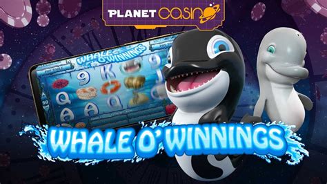 Whale O Winnings Bet365