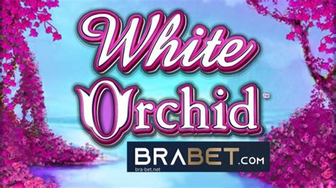 White Orchid Brabet