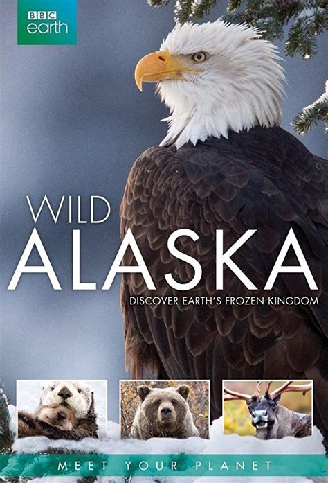 Wild Alaska Betsson
