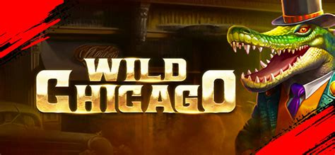 Wild Chicago Bodog
