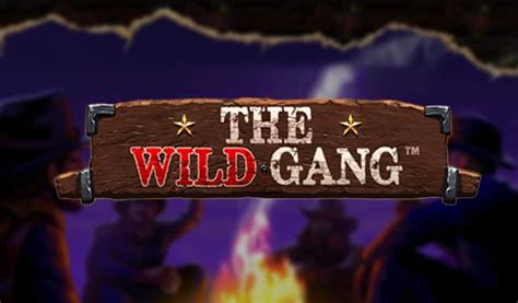Wild Gang Review 2024