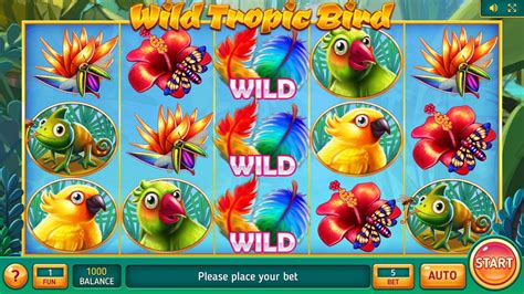 Wild Tropic Bird Slot Gratis