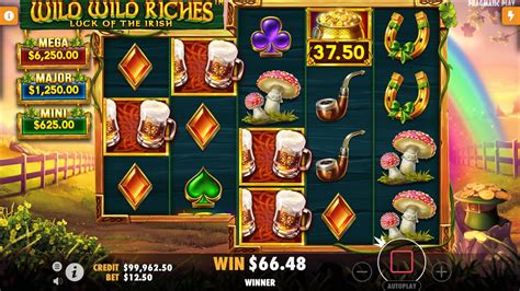 Wild Wild Riches Review 2024