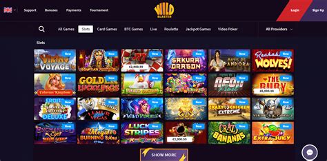 Wildblaster Casino Apostas