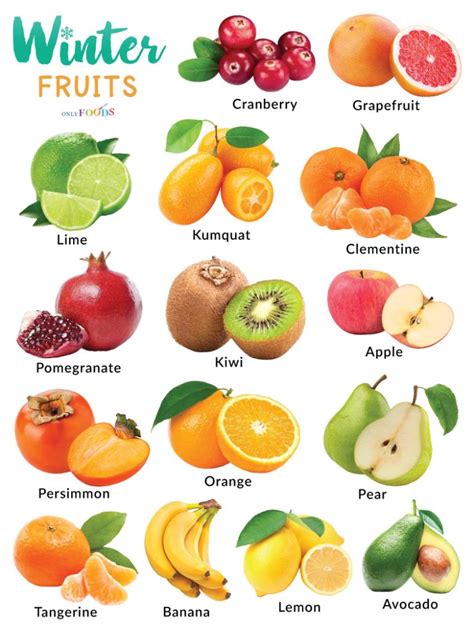 Winter Fruits Review 2024