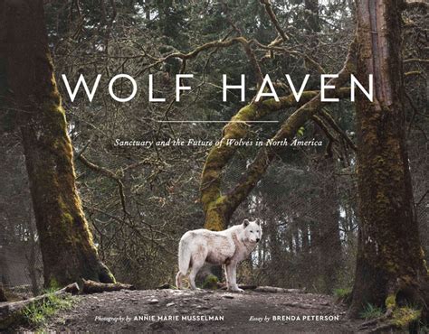 Wolf Haven Betano