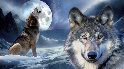 Wolf Moon Betsson