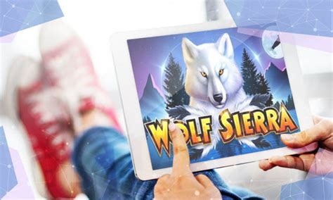 Wolf Sierra Review 2024