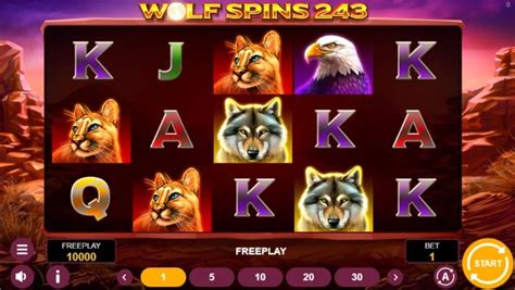 Wolf Spins 243 Blaze