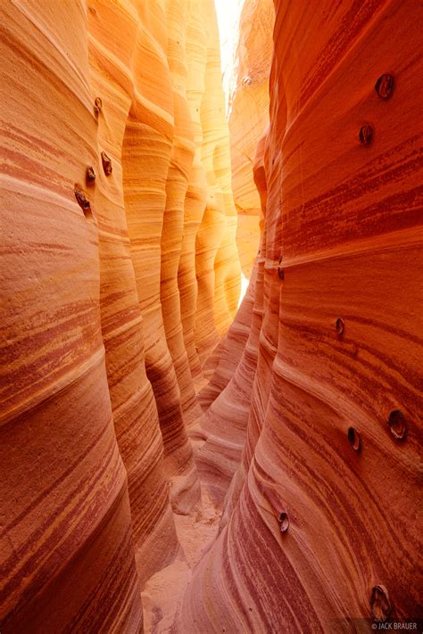 Zebra Slot Canyon Escalante